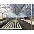 Multi-span gutter connected galvanized greenhouse